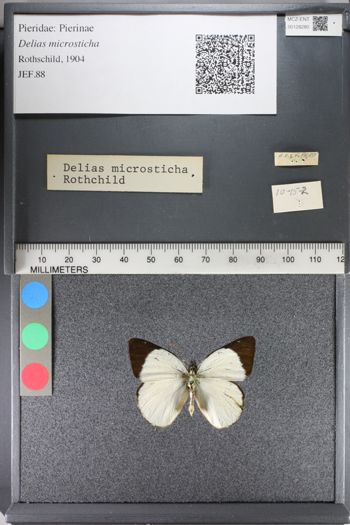 Media type: image;   Entomology 128280